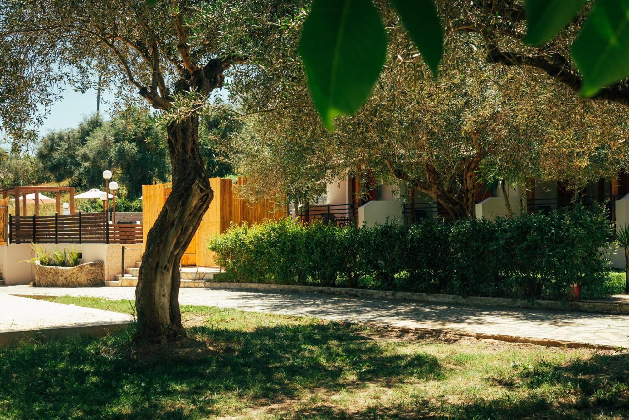 Kalypso Studio Resorts Kávos Exterior foto